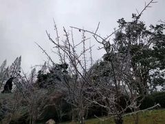 -井冈山风景名胜区