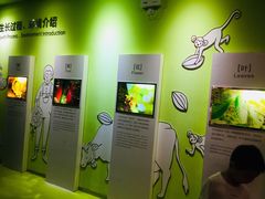 -歌斐颂巧克力小镇