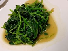清炒菠菜-浦东绿地铂骊酒店品珍轩中餐厅