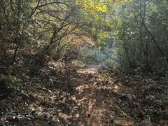 -宝界山林公园