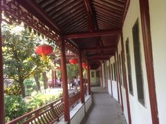 -东方明珠国际旅行社有限公司