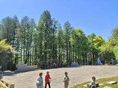 -洪泽湖古堰景区