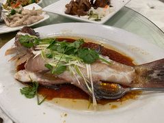 东星斑-半岛海鲜酒家