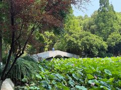 -西南交通大学(九里校区)