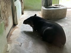 -石家庄市动物园