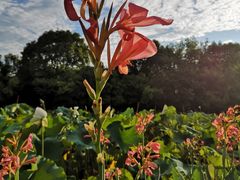 -贵阳市花溪国家城市湿地公园
