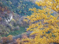 -丹东天桥沟景区