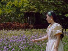 -南沙蒲洲花园