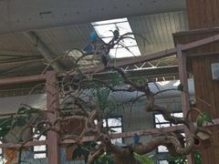 -南宫五洲植物乐园