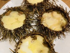 -海胆小馆(东北水饺·春柳店)