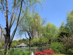 -新虹桥中心花园
