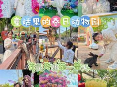 -灵玲国际马戏城
