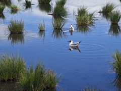 -花湖生态旅游区