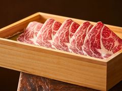 雪龙3A上脑-王家渡火锅店(棕榈泉店)