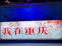 -重庆欢乐海底世界