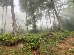 -老秃顶草原景区