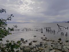 -深圳湾公园(南山区)