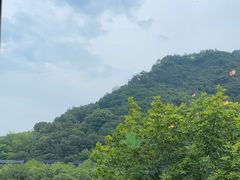 -芳草地度假酒店·野炉中餐厅