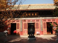-北京植物园-展览温室