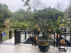 -茅庐·川粤精品私房菜(金沙遗址店)