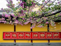 -龙华寺