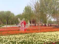 -廊坊文化艺术中心