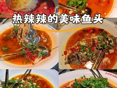 -坛宗剁椒鱼头(河西王府井店)