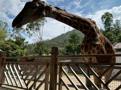 -泉州海丝野生动物世界