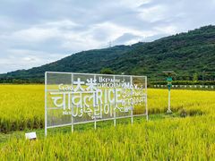 -风云岭森林公园