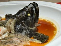 -毗陵醉·黑钻(湖塘店)