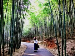 -苏州环秀晓筑养生度假村