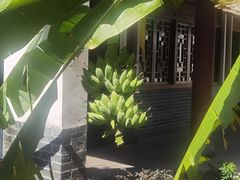 -大亚湾红树林城市湿地公园
