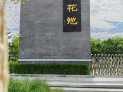 -莲花池公园