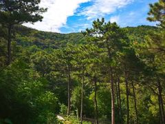 -北京西山国家森林公园