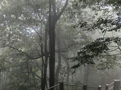 -灵顺寺