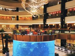 -OPEN開全日自助餐厅·牛肉火锅·海鲜(佛山希尔顿酒店)