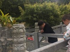 -神光山国家森林公园