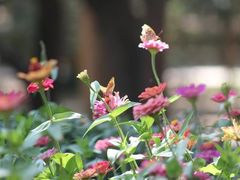 -维乐口腔医院(星海湾分院)