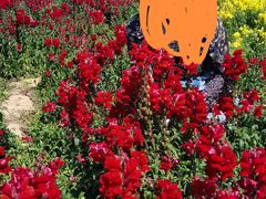 -广东花都香草世界旅游度假区