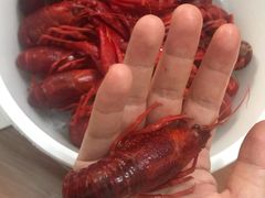 -龙虾风暴(松江店)