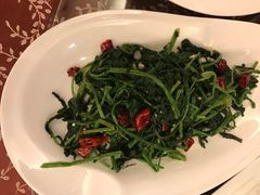 -西安饭庄(立丰国际店)