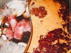 -季季红火锅(动壹店)
