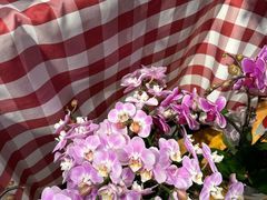 -blt精品超市(高德置地冬广场店)