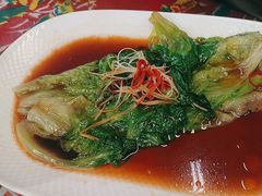 -7号院家宴.烧鸽子(门头沟店)