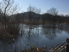 -西湖风景区-江洋畈生态公园