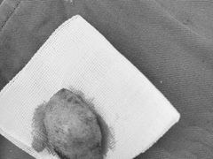 -派特宠物医院(圆融广场店)