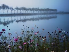 -大九湖