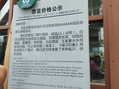 -白洋淀景区