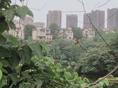 -重庆彩云湖湿地公园