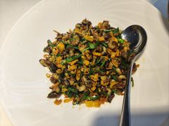 韭菜炒香螺-院里寻菜·精致庭院菜(观沙岭店)
